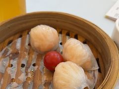 -益健美食大广场(北岭店)