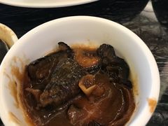 海参-东方红海鲜百汇(国际大厦店)