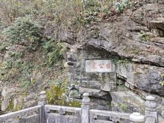 -镇江市南山风景名胜区竹林景区