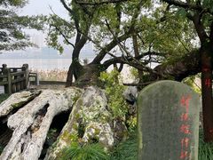 -江心屿景区