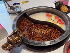 -销魂美蛙鱼头火锅(上海首店)