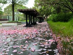 -复旦大学附属华山医院(浦东院区)