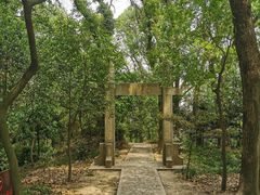 -上海佘山国家森林公园天马山园