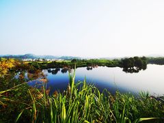 -婺源月亮湾