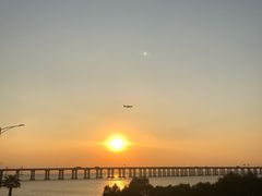 -宝安西湾红树林湿地公园