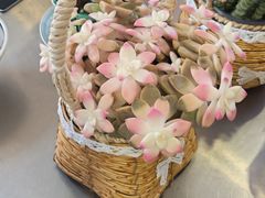 -山海菜馆·海肠捞饭·青岛菜(栈桥店)