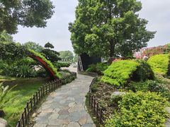 -合肥滨湖国家森林公园