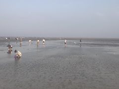 -刘家湾赶海园