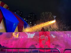-海合安武汉极地海洋公园