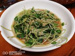-全乐鱼馆·淳牌有机鱼直营店