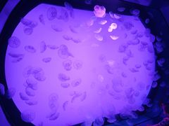 -沈阳海洋探索中心