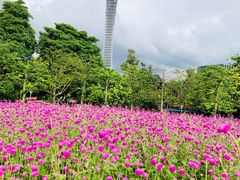-二沙岛艺术公园