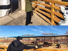 -鄂尔多斯野生动物园