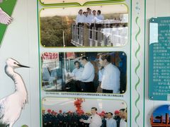 -北海金海湾红树林生态旅游区