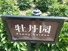 -戚继光故里