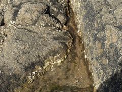 -山东八大碗山东老字号