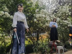 -铁山坪森林公园