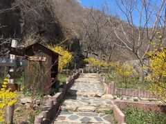 -北京水岸山吧度假村(雁栖镇店)