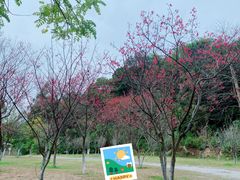 -火炉山森林公园