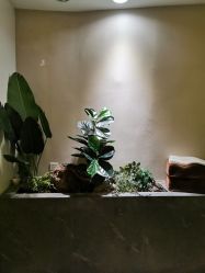 点击看大图 -贝黎诗SPA