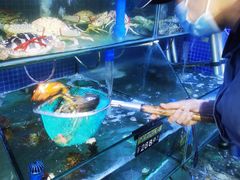 水产区-蟹老板的海鲜