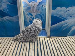 -成都浩海立方海洋公园