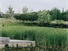 -两河城市森林公园