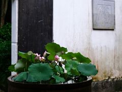 -法云安缦酒店