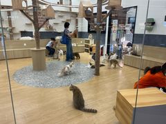 -上海七宝领展广场