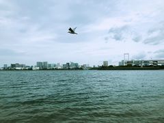 -台场海滨公园船码头
