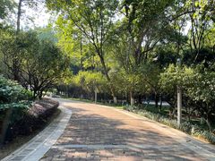 -玉树公园