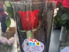 -杭州湖滨in77