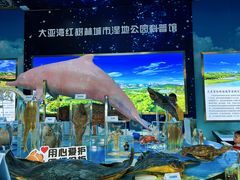 -大亚湾红树林城市湿地公园