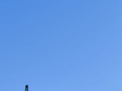 -冰沟林海