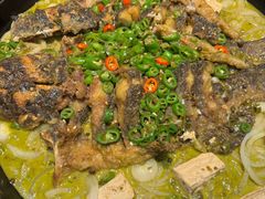 -老板恋上鱼(印象城店)