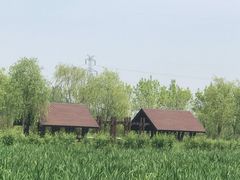 -永定河休闲森林公园