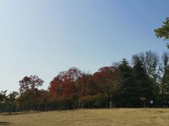-钟山体育运动公园
