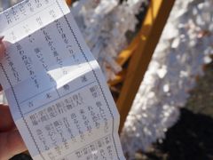 -北海道神宫
