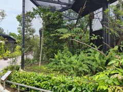 -新加坡飞禽公园