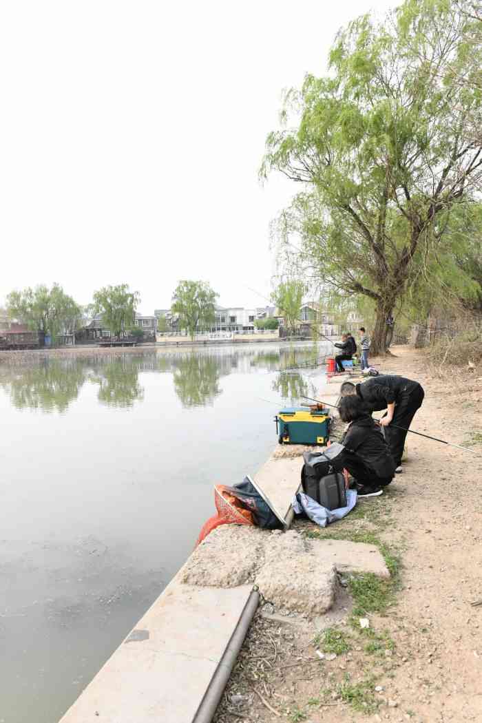 八仙别墅垂钓园"黑坑,愿赌服输,周末150,因为撒鱼,说.