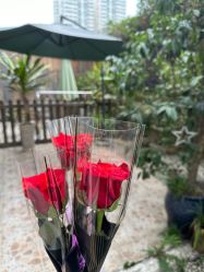 -爱贝乐妈咪月子中心