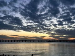 -宝安西湾红树林湿地公园