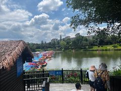 -枫香湖儿童公园