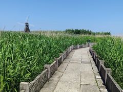 -宁波杭州湾国家湿地公园