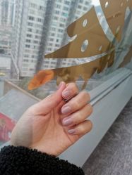 -LADYGIRL·Nail·Lash·美甲美睫