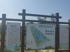 -芒洲湿地公园