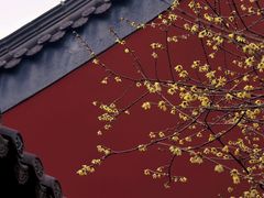 -钱王祠