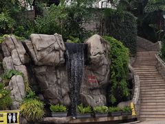 -九龙公园