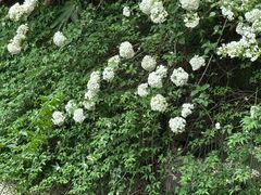 -祝家花園(伯渎港店)