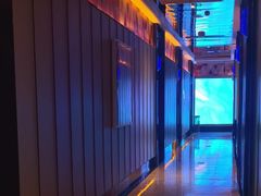 -星聚会KTV(苏州尹山湖歌林公园店)